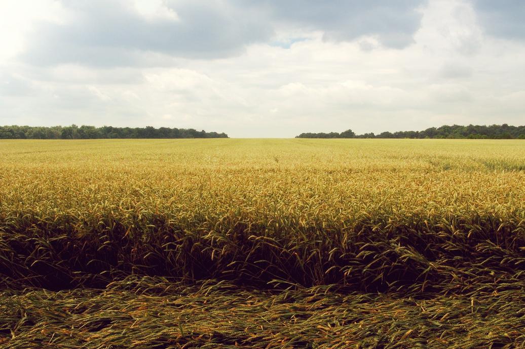 Molestias harum pariatur ipsa cum ut veniam